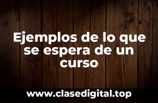 Ejemplos de lo que se espera de un curso