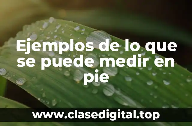 Ejemplos de lo que se puede medir en pie