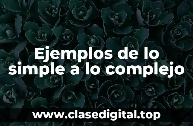 Ejemplos de lo simple a lo complejo