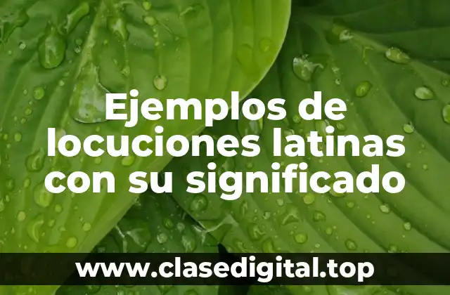Ejemplos de locuciones latinas con su significado