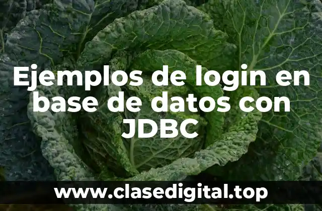 Ejemplos de login en base de datos con JDBC