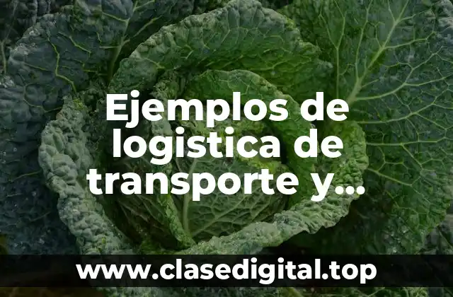 Ejemplos de logistica de transporte y Significado