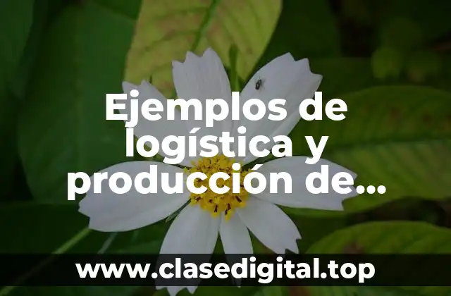 Ejemplos de logística y producción de artículos