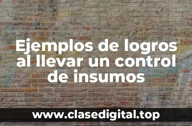 Ejemplos de logros al llevar un control de insumos