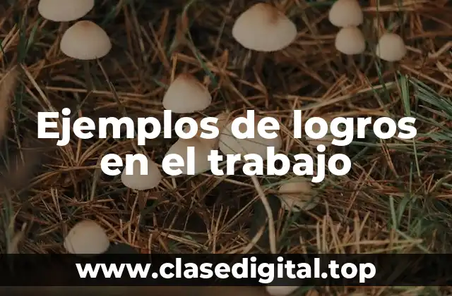 Ejemplos de logros en el trabajo