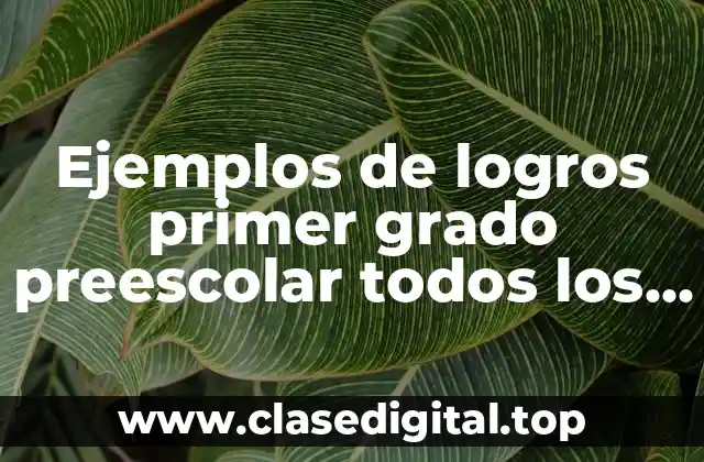 Ejemplos de logros primer grado preescolar todos los campos