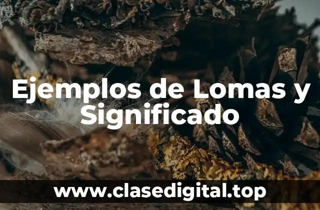 Ejemplos de Lomas y Significado