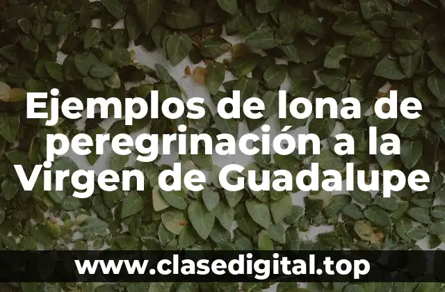 Ejemplos de lona de peregrinación a la Virgen de Guadalupe