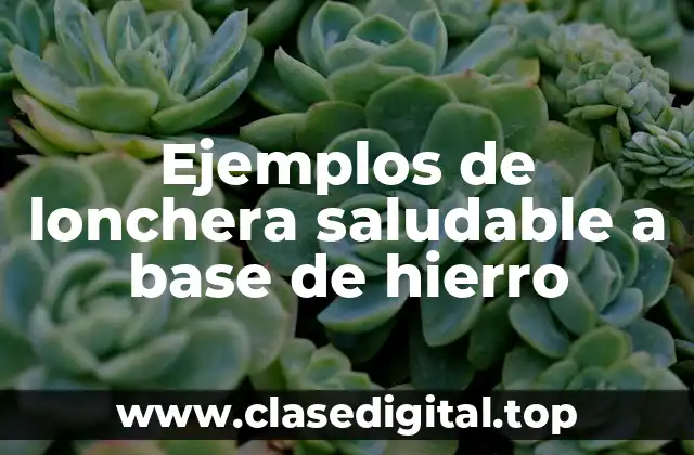 Ejemplos de lonchera saludable a base de hierro
