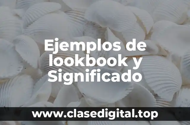 Ejemplos de lookbook y Significado
