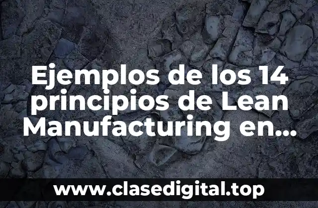 Ejemplos de los 14 principios de Lean Manufacturing en presidencia