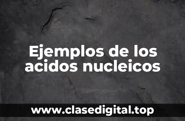 Ejemplos de los acidos nucleicos