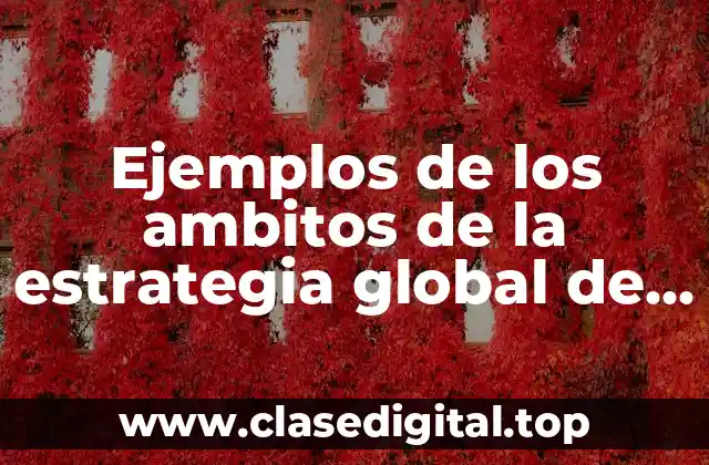 Ejemplos de los ambitos de la estrategia global de mejora y Significado