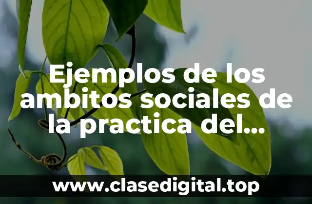 Ejemplos de los ambitos sociales de la practica del lenguaje