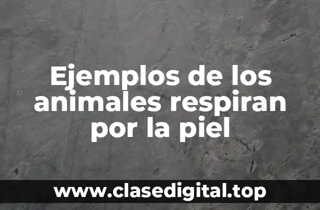 Ejemplos de los animales respiran por la piel