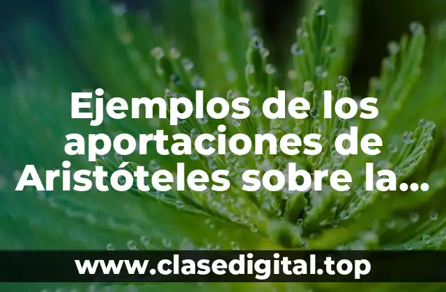 Ejemplos de los aportaciones de Aristóteles sobre la caída libre y Significado