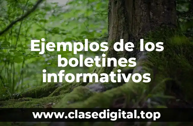 Ejemplos de boletines informativos