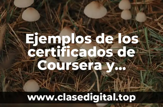 Ejemplos de los certificados de Coursera y Significado