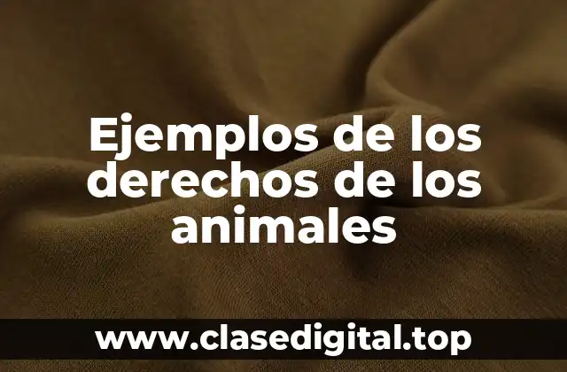 Ejemplos de los derechos de los animales