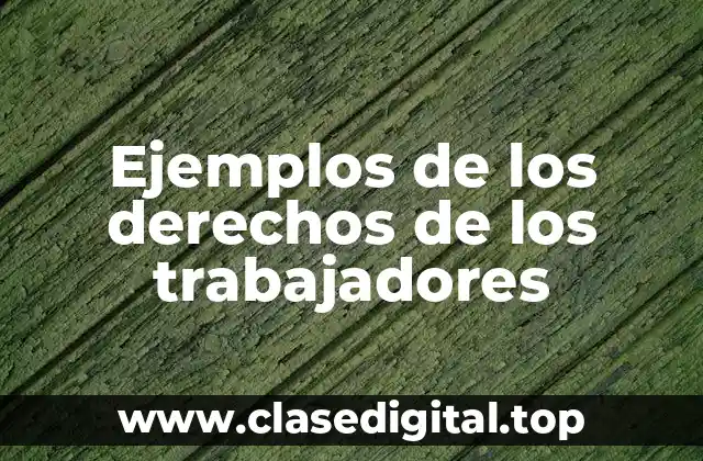 Ejemplos de los derechos de los trabajadores