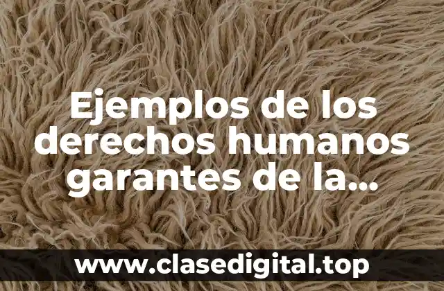 Ejemplos de los derechos humanos garantes de la diversidad cultural