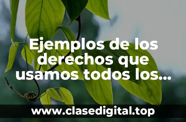 Ejemplos de los derechos que usamos todos los días