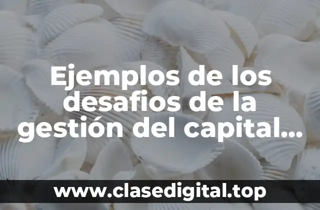 Ejemplos de los desafios de la gestión del capital humano