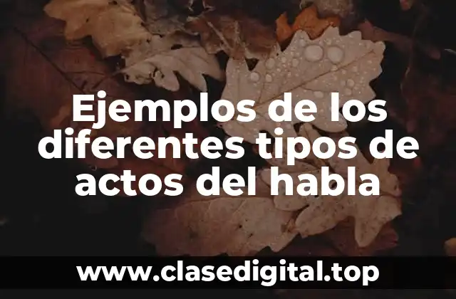Ejemplos de los diferentes tipos de actos del habla