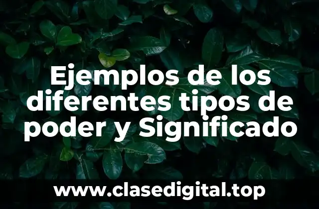 Ejemplos de los diferentes tipos de poder y Significado