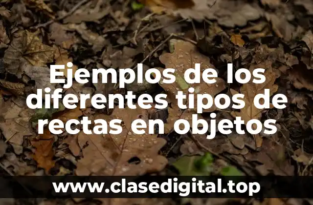 Ejemplos de los diferentes tipos de rectas en objetos