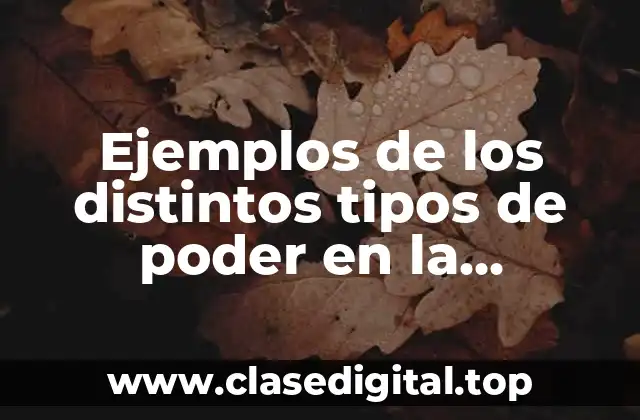 Ejemplos de los distintos tipos de poder en la actualidad y Significado