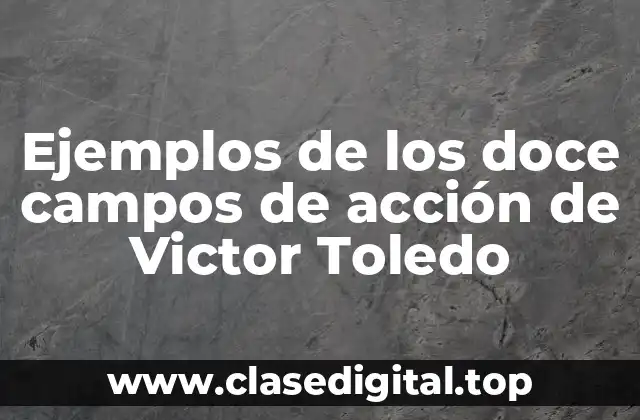 Ejemplos de los doce campos de acción de Victor Toledo