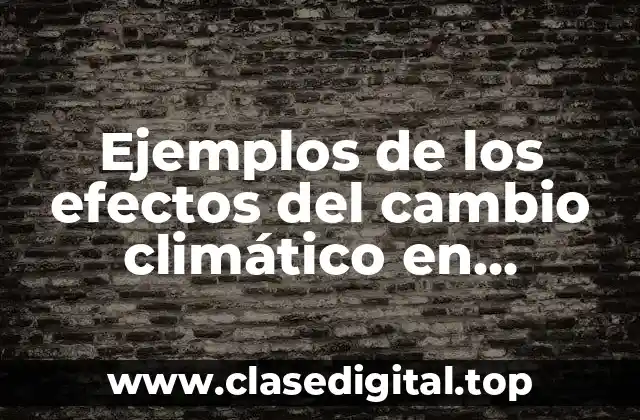 Ejemplos de los efectos del cambio climático en Guatemala