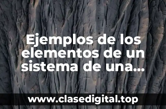 Ejemplos de los elementos de un sistema de una empresa