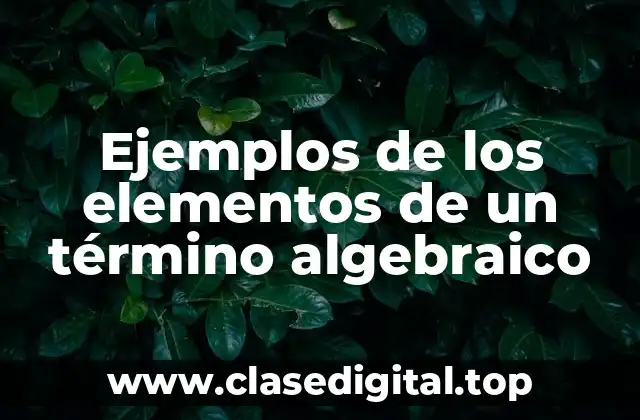 Ejemplos de los elementos de un término algebraico