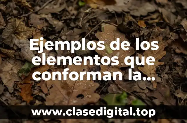 Ejemplos de los elementos que conforman la identidad nacional mexicana y Significado