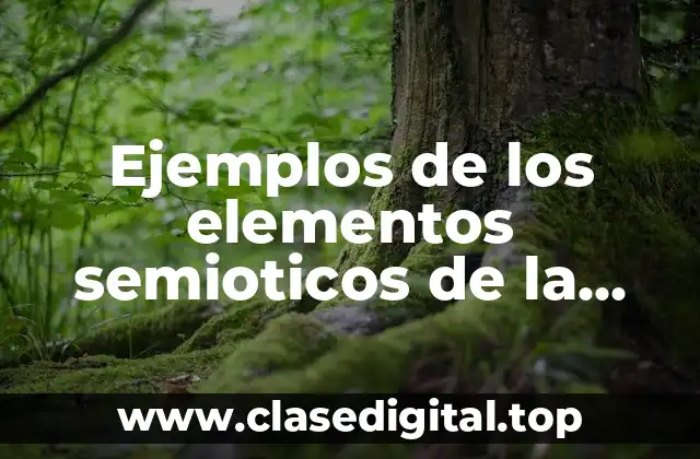 Ejemplos de los elementos semioticos de la representación teatral