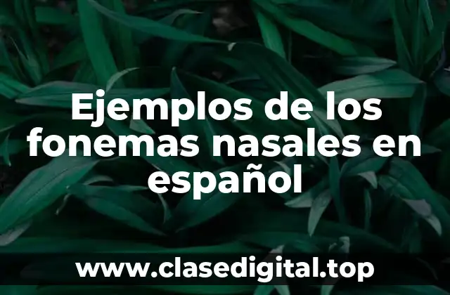Ejemplos de los fonemas nasales en español