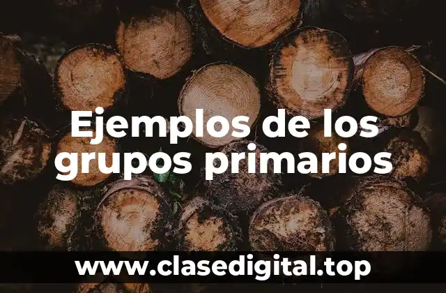 Ejemplos de los grupos primarios