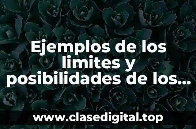 Ejemplos de los limites y posibilidades de los sistemas