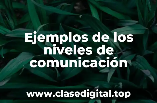 Ejemplos de los niveles de comunicación