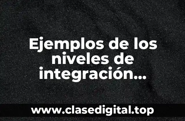 Ejemplos de los niveles de integración económica