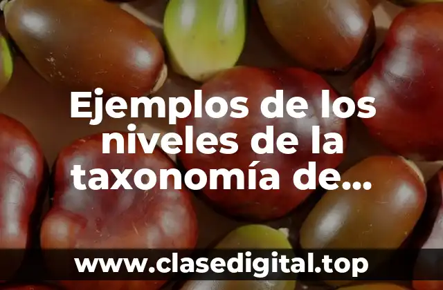 Ejemplos de los niveles de la taxonomía de Boulding