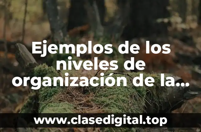 Ejemplos de los niveles de organización de la materia