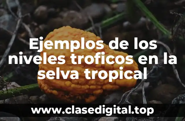 Ejemplos de los niveles troficos en la selva tropical