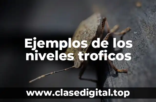 Ejemplos de los niveles troficos