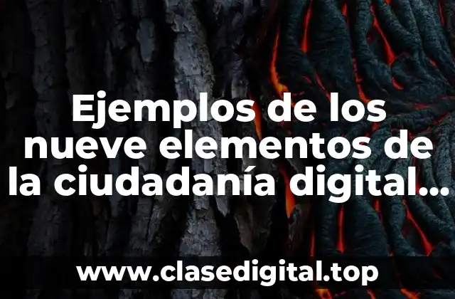 Ejemplos de los nueve elementos de la ciudadanía digital y Significado