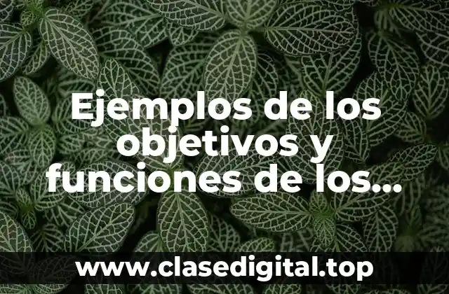 Ejemplos de los objetivos y funciones de los inventarios