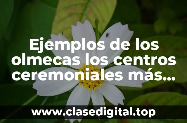 Ejemplos de los olmecas los centros ceremoniales más importantes