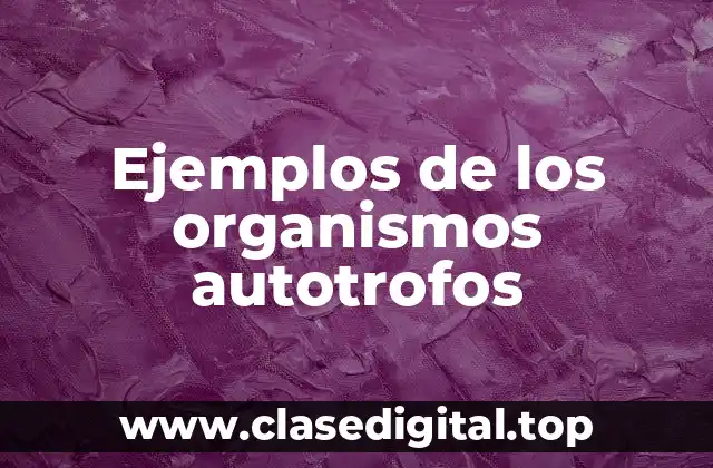 Ejemplos de los organismos autotrofos